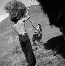 Collecting hay, Kazbegi, Georgia, 1997