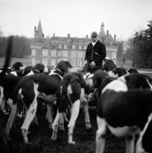 A hunter at the end of the hunt gathered his hounds